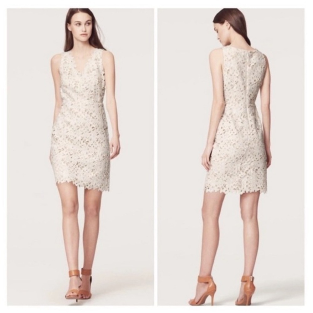 LOFT Cream Sheath Mini Dress Sleeveless Scoop Neck